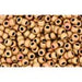 Vente en gros cc618 perles de rocaille Toho 11/0 opaque pastel frosted mudbrick (10g)