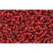 Achat en gros cc25c perles de rocaille Toho 15/0 silver-lined ruby (5g)